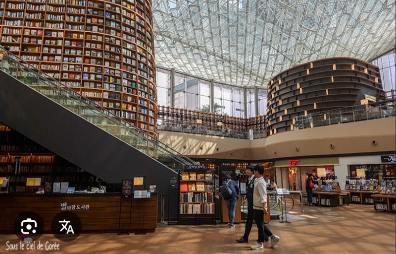 🌏 Recherche compagnon de voyage – Corée du Sud 🇰🇷